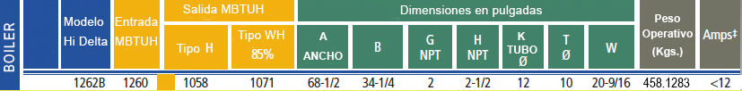 especificaciones-raypak-hidelta.jpg