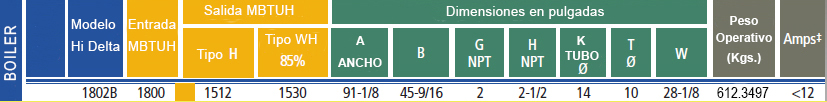 especificaciones-raypak-hidelta.jpg