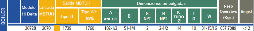 especificaciones-raypak-hidelta.jpg