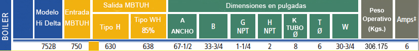 especificaciones-raypak-hidelta.jpg