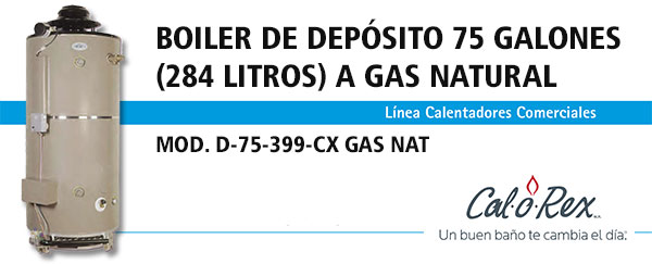 header-boiler-depgas-calorex-D-75-399CX-